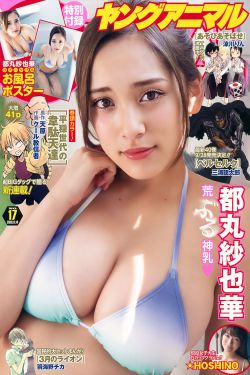 西夏狼王